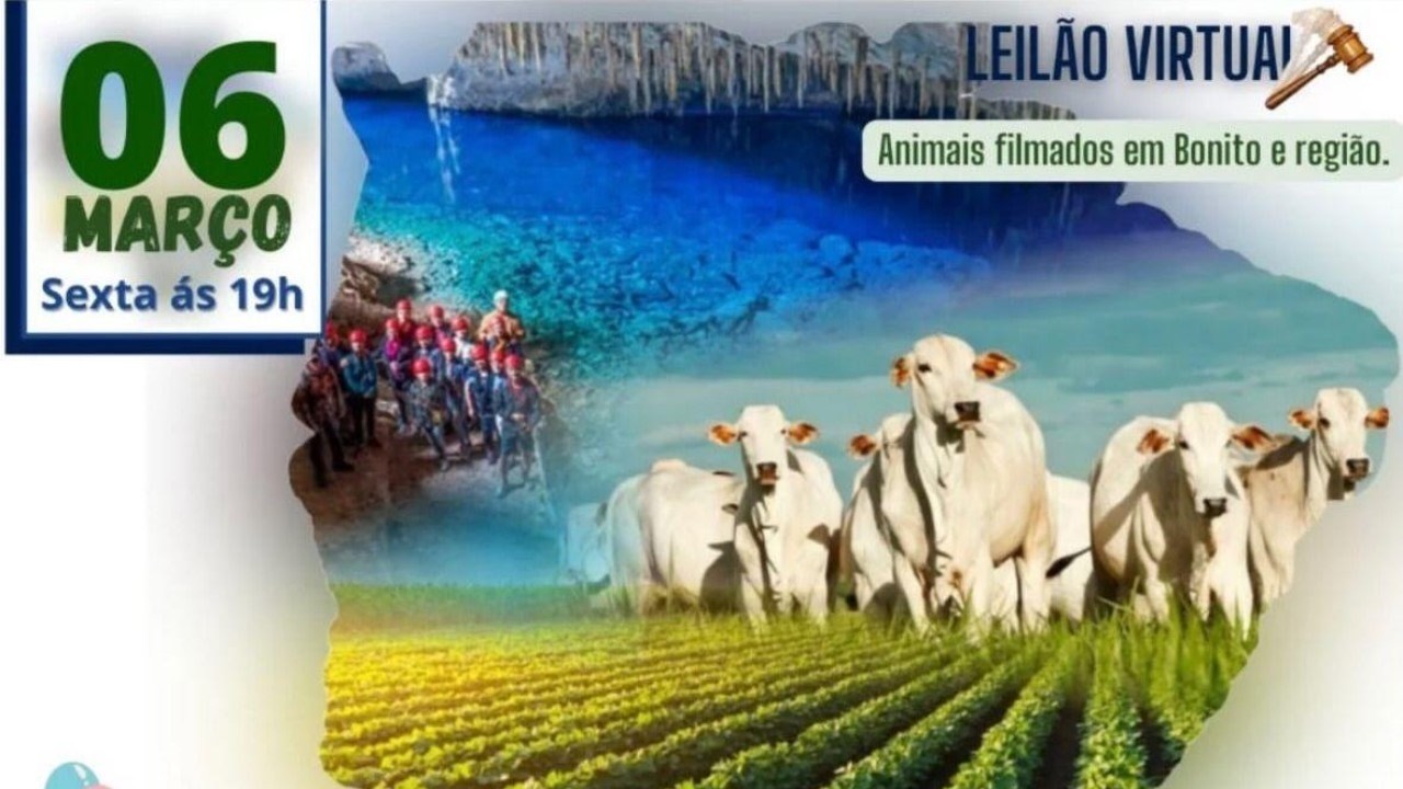 187° LEILÃO VIRTUAL CB LEILÕES - BONITO/MS - RURAL PLAY