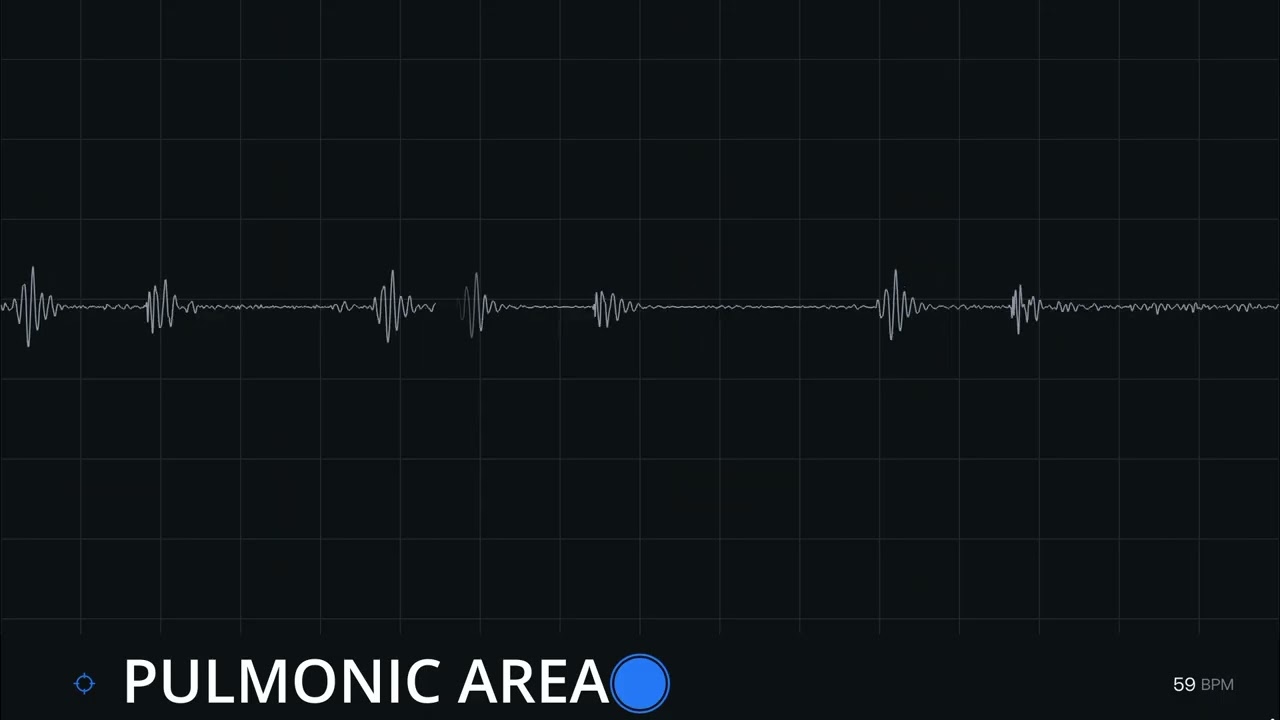 Just Some Chill Heartbeat ❤️🩺 [Male Heartbeat]
