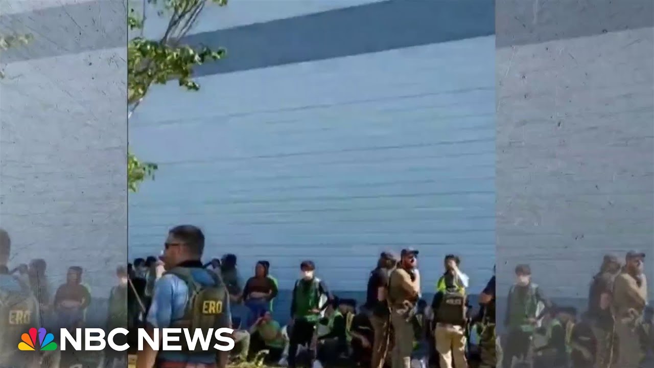 South Korean workers arrested during immigration raid at Hyundai site