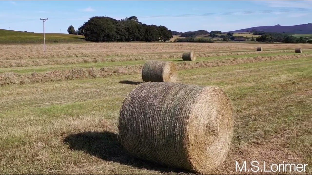 Hay baling 2025