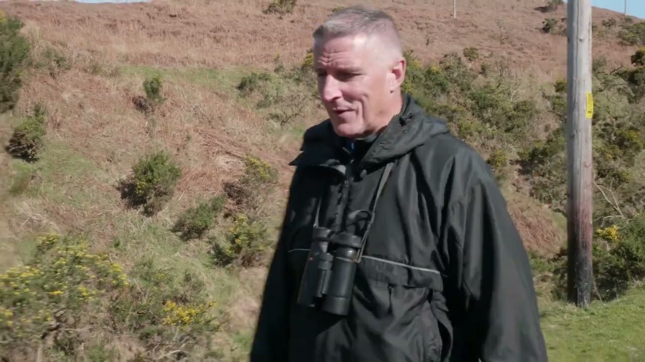 Spring Safari in Swansea Bay with Iolo Williams - Rural Swansea