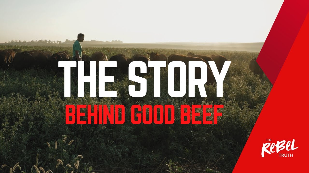 Правда о бунтарях | История создания компании Better Beef at Sunlight & Rain