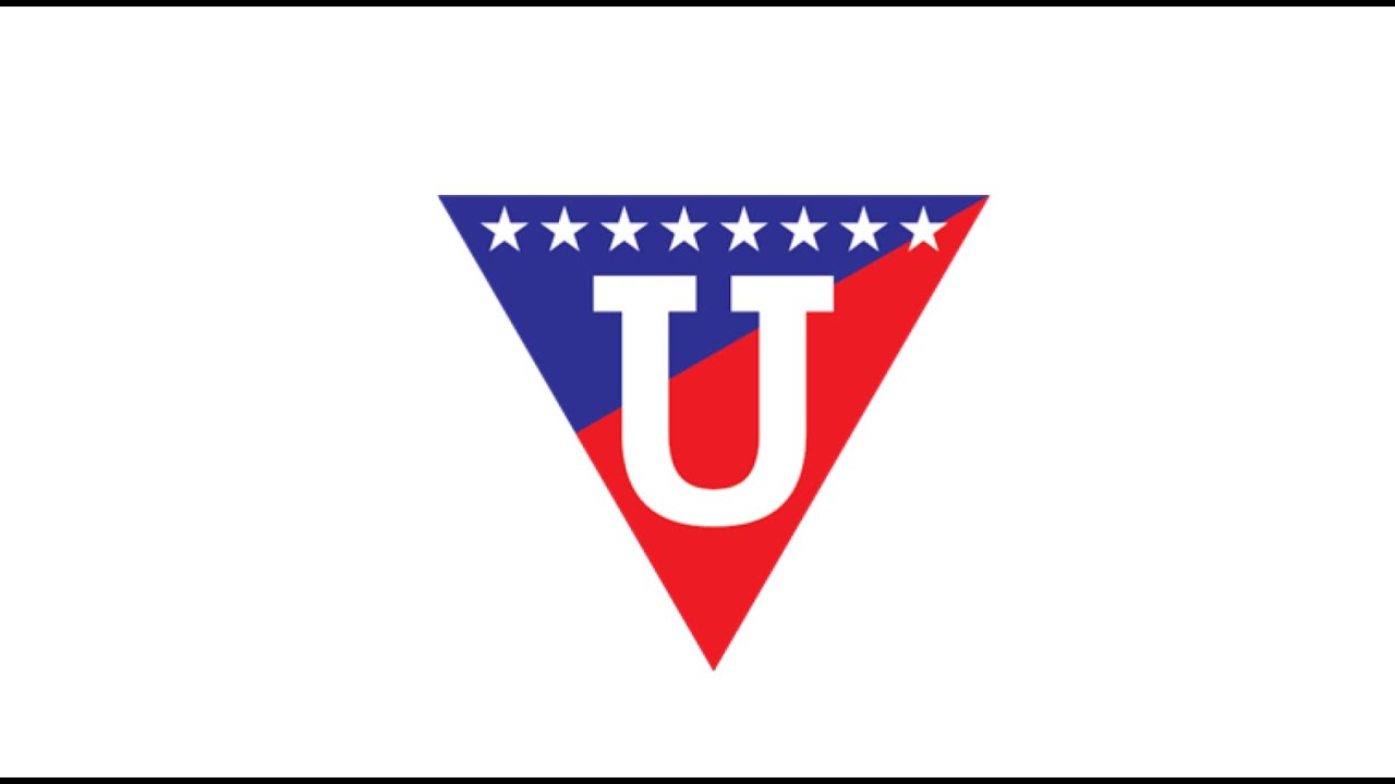 HINO DA LDU