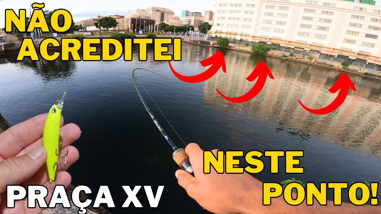 NÃO ACREDITEI E ENGATEI UM MONSTRO NO QUADRADO DA PRAÇA XV! PESCARIA ULTRALIGHT NA BAIA DE GUANABARA