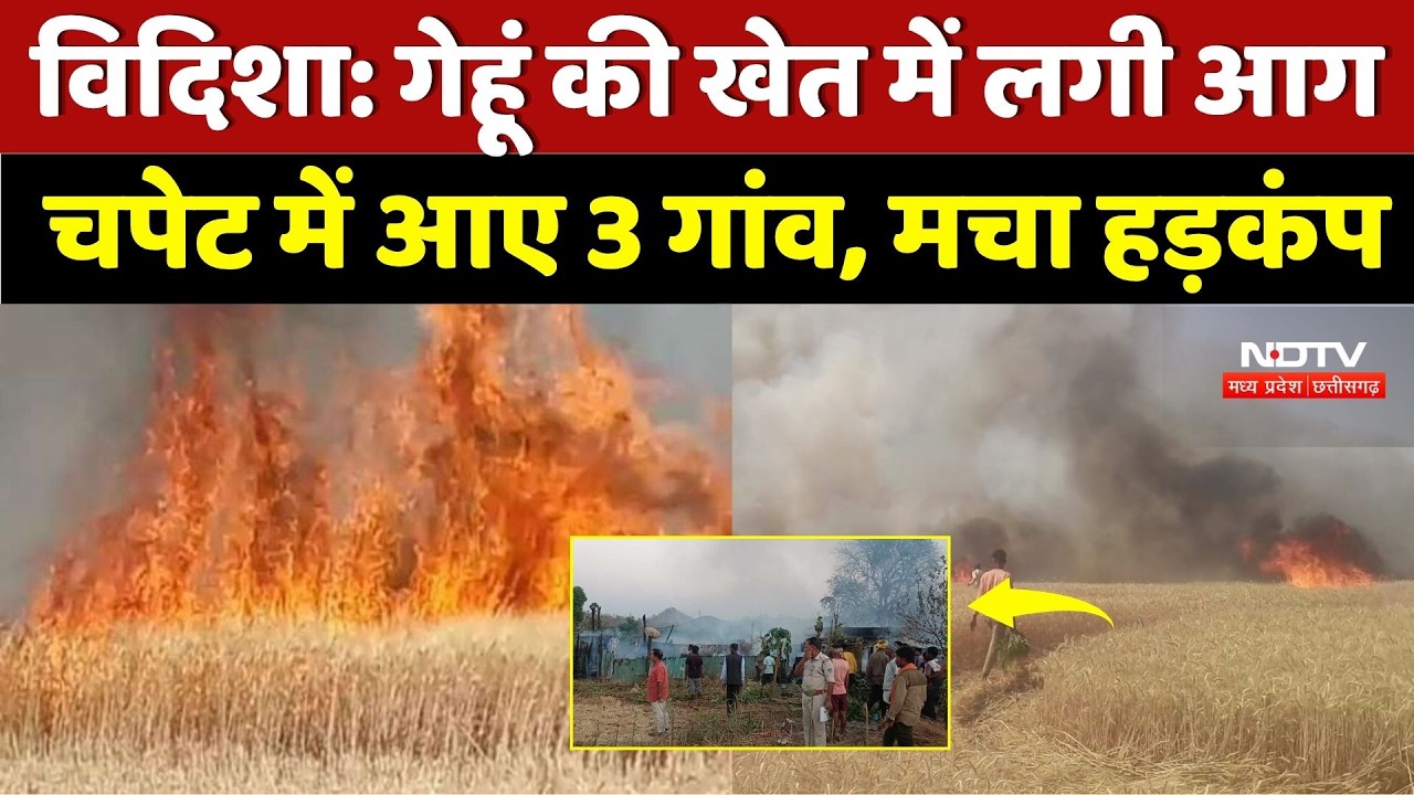 Vidisha Fire News: गेहूं की खेत में लगी आग,  चपेट में आए 3 गांव, मचा हड़कंप | Breaking | Wheat Crop