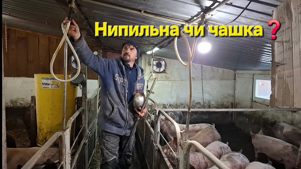 Бізнес на  винях-Яка краща❓️Та скікож газу всетаки на одного кабана❓️Дослідження‼️