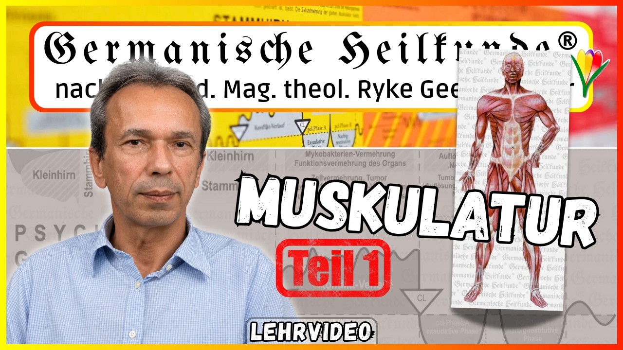 Muskulatur / Teil 1 von 2 ⎮ Lehrvideo ⎮ Germanische Heilkunde&reg;