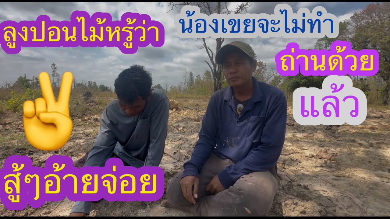 อ้ายจ่อยมาช่วยลุงตัดไม้เหมือนเดิมแต่ลุงไม่หรู้✌️😳🇱🇦❤️🇹🇭🇺🇸#บ่าวลาวพาเพลิน#13/3/26