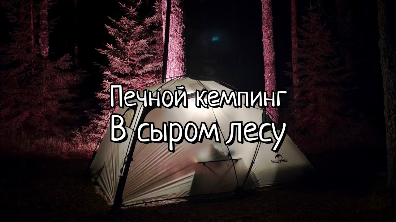 Печной кемпинг в сыром лесу