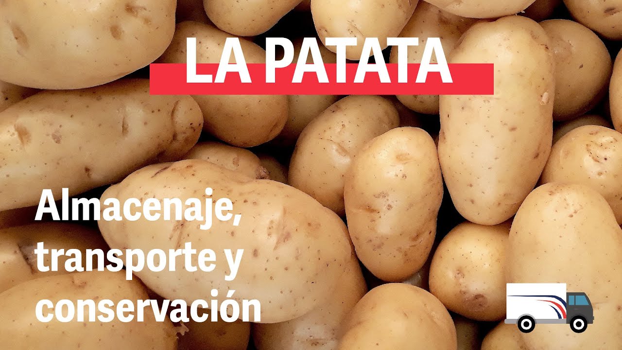LA PATATA: ALMACENAJE, TRANSPORTE Y CONSERVACIÓN