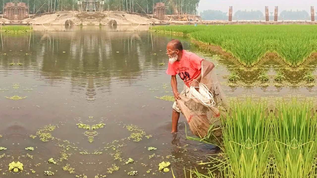 Amazing Fishing Skill - Best Cast Net Fishing - Fishing by Poor and Skilled Fisherman