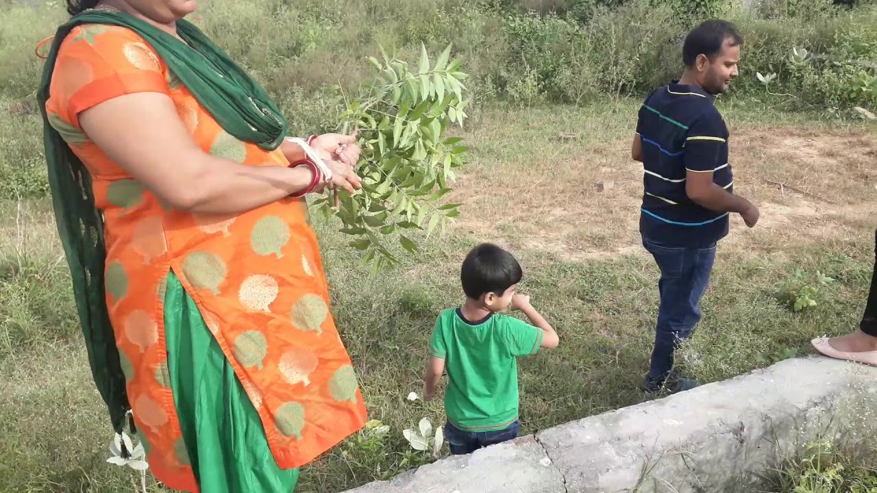 Visit to Maripat plot #gaziabadh #NCR