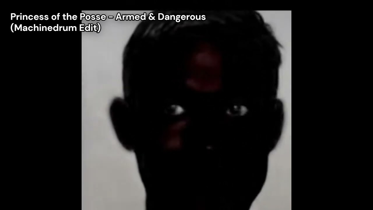 Princess of the Posse - Armed & Dangerous (Machinedrum Edit)
