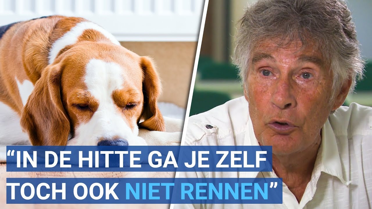 Wat moet je doen met je hond in de hitte? Martin Gaus geeft tips