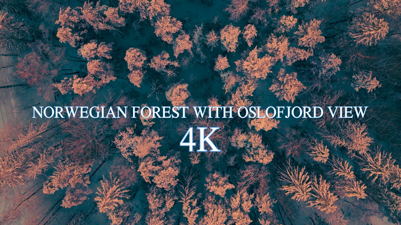 Norway By Drone - Asker with Oslofjord view