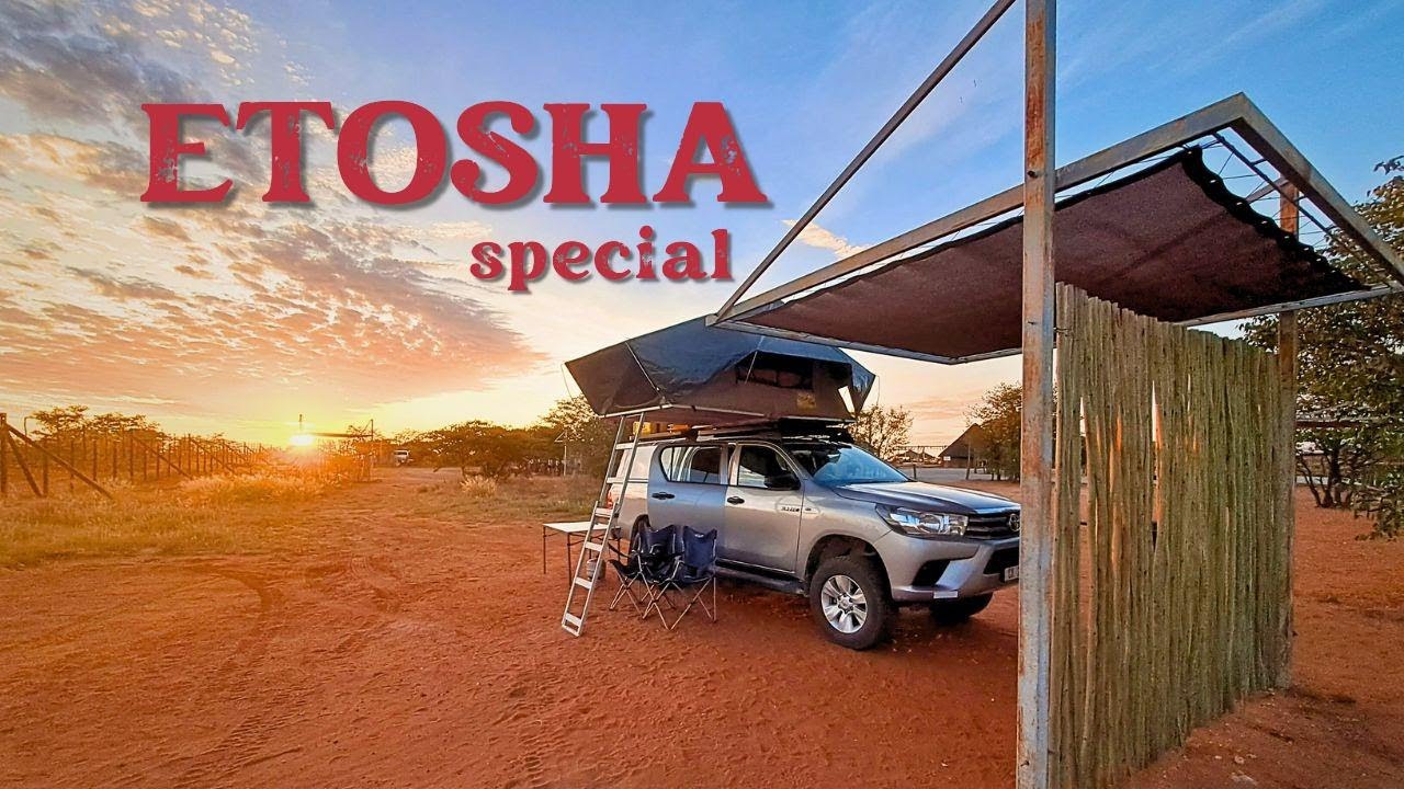 Exploring Etosha National Park: Camping, Wildlife Safari, and Elephant Encounters