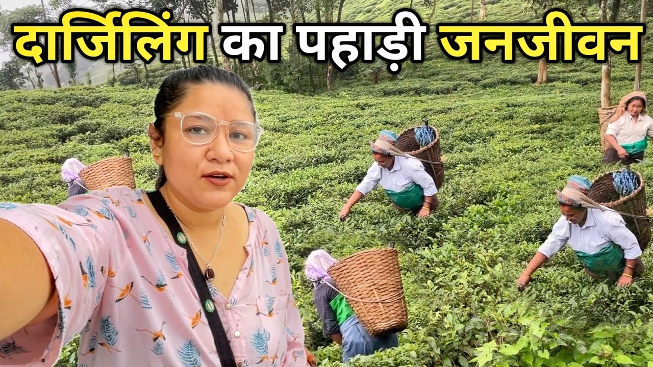 दार्जिलिंग का पहाड़ी जनजीवन और खानपान || Darjeeling Village Lifestyle || Sushmita Chettri Vlogs