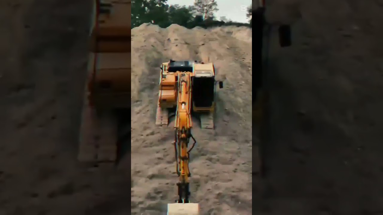 #cat434