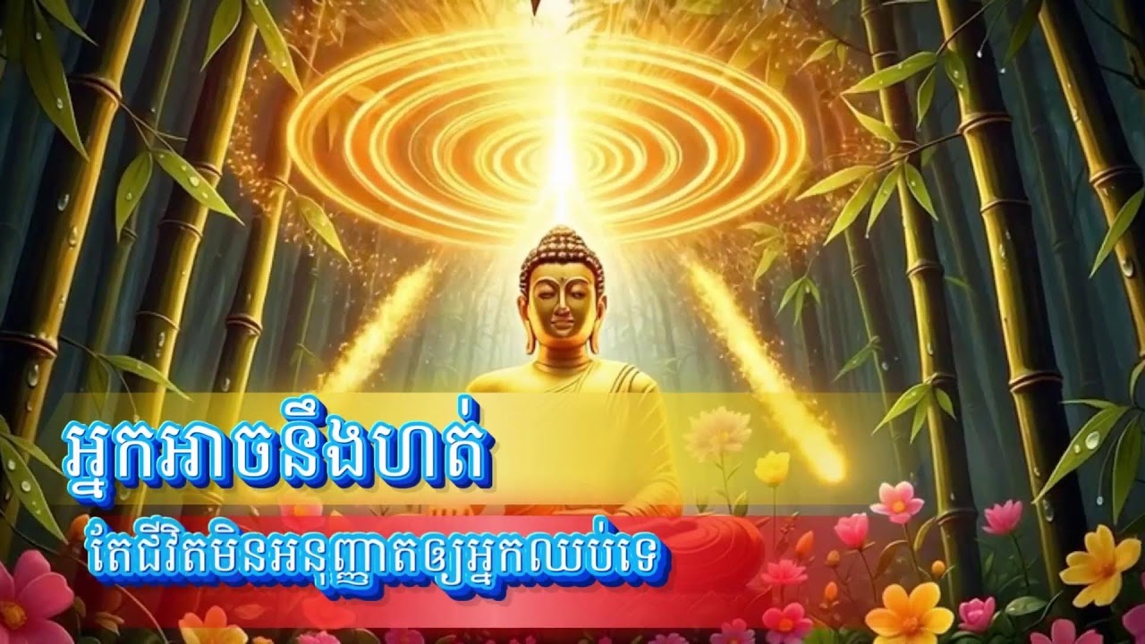 ពន្លឺជីវិត (Light of Life) Live Stream