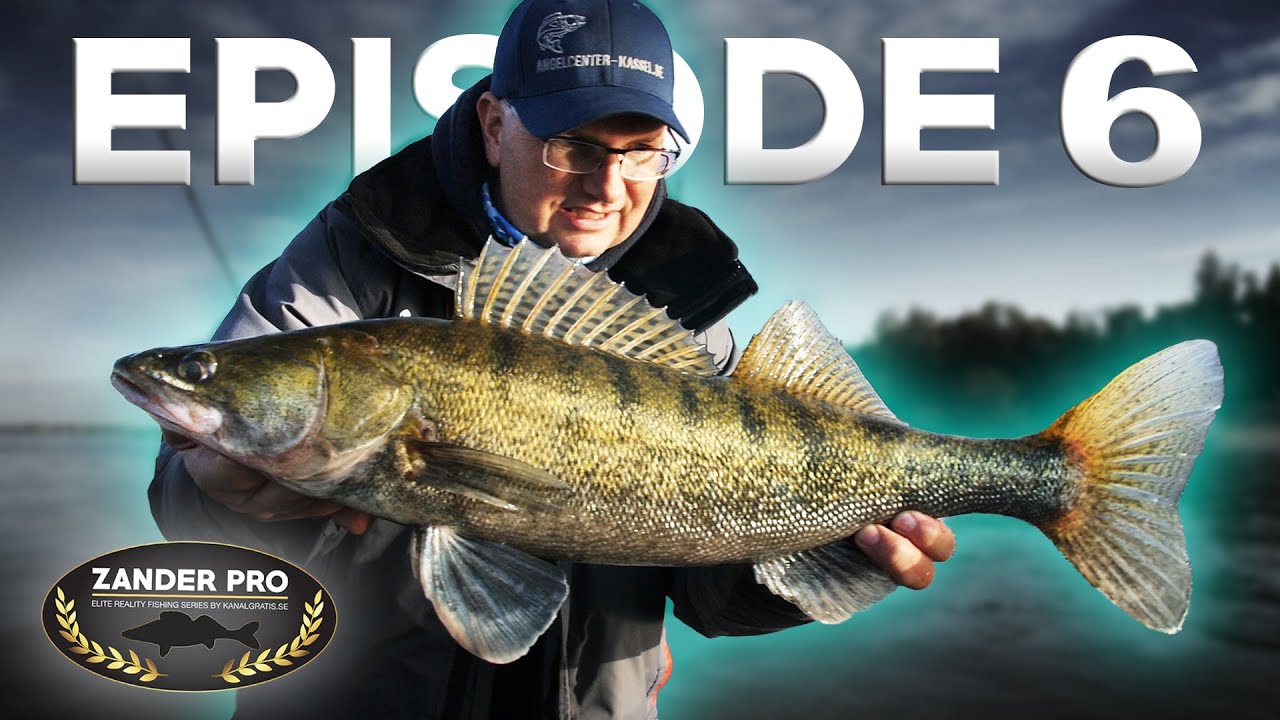 ZANDER PRO - Episode 6 (Polskie napisy)