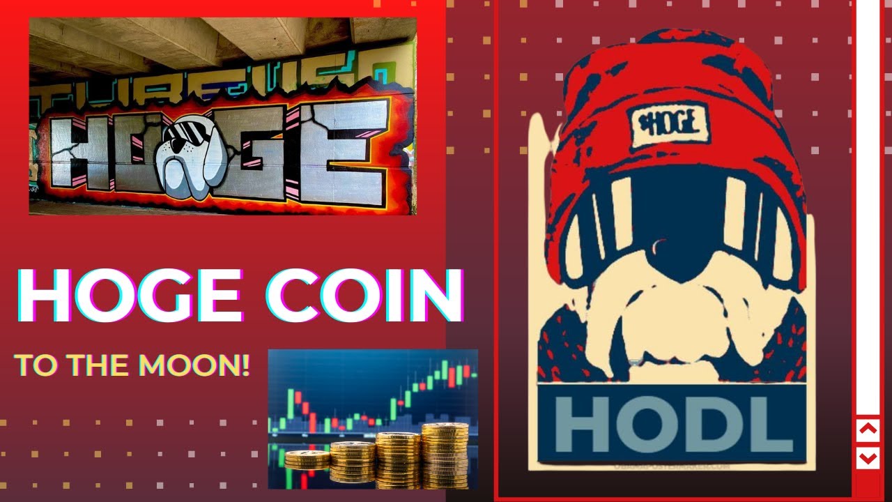 The TRUTH About HogeCoin and How It Is Dogecoin's Big Brother!