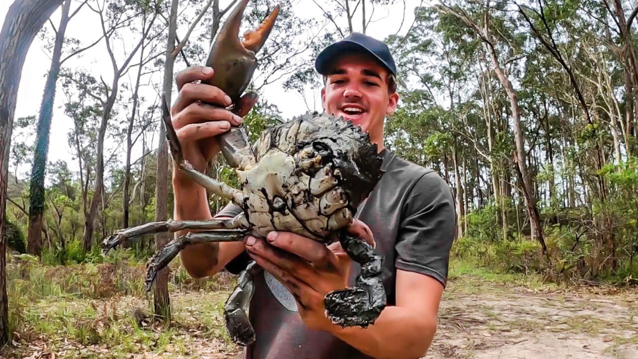 Monster Mudcrab Catch & Cook (Caught Barehanded)