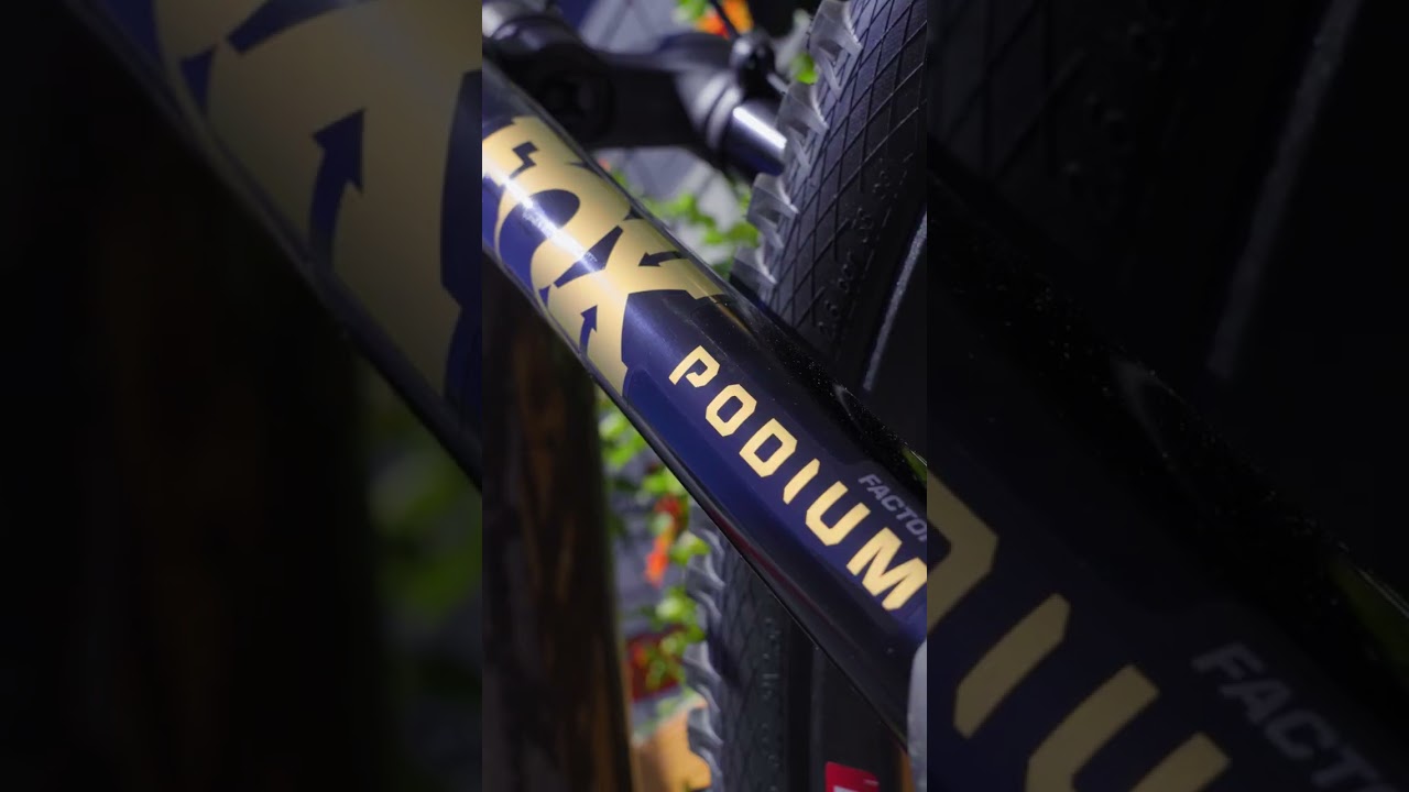 2026 Specialized S-Works Turbo Levo 4 Custom Build  