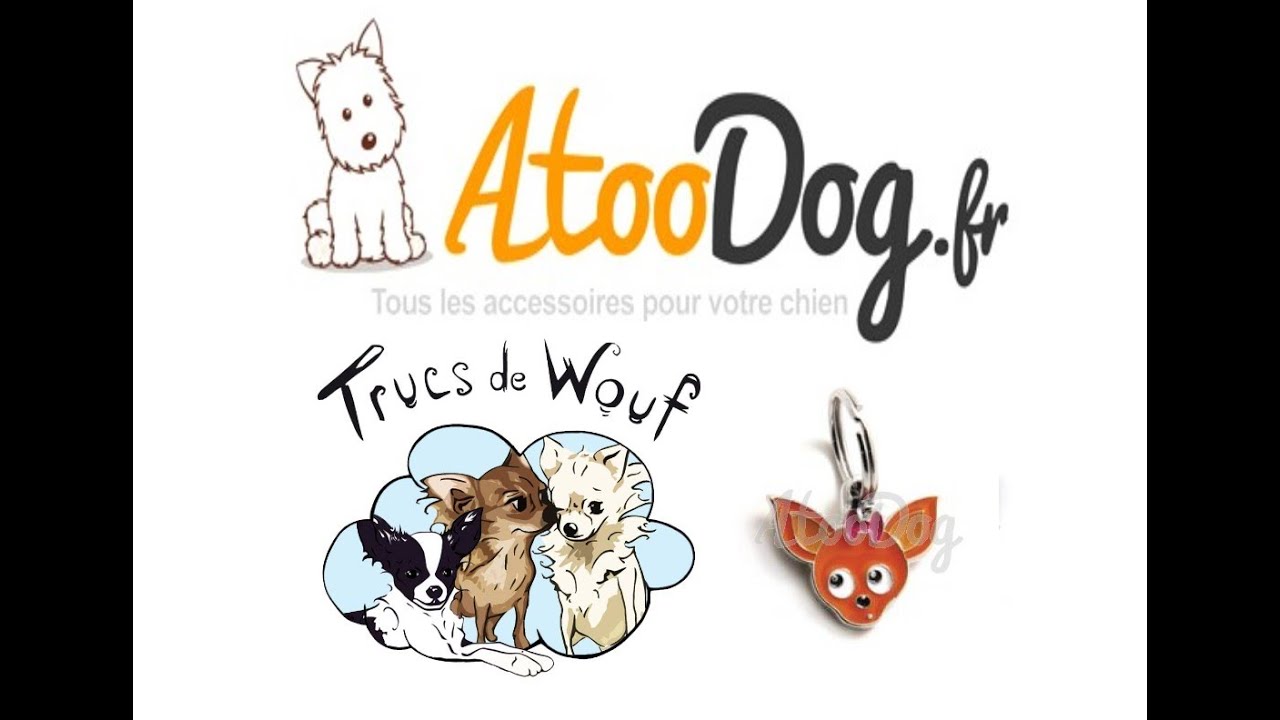 AtooDog et les médailles