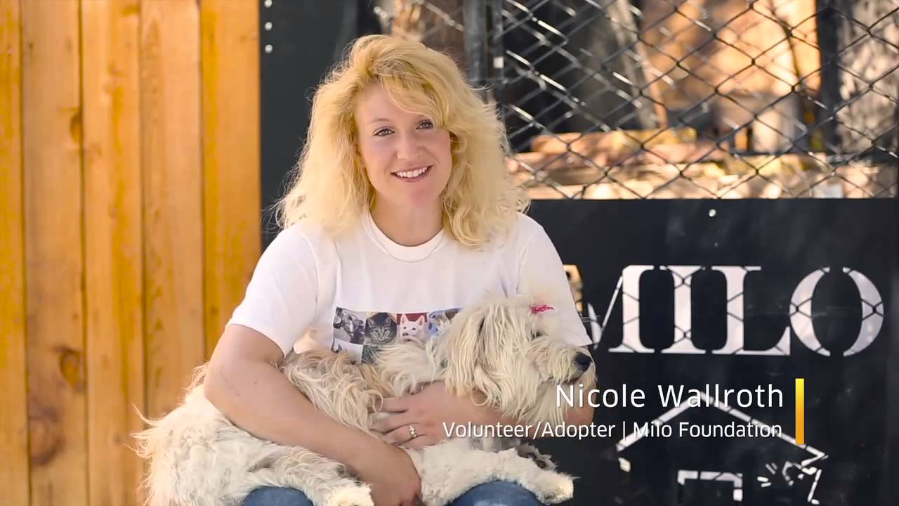 Milo Foundation Intro (produced by Workday)