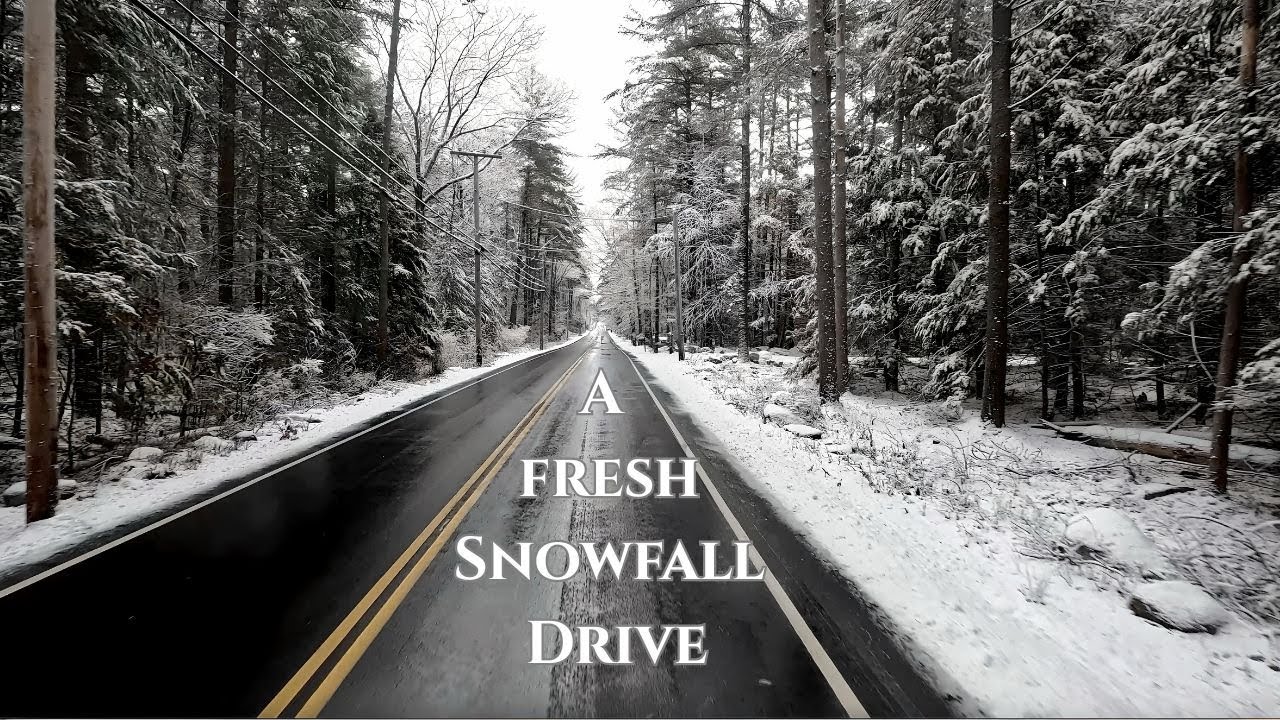 A Quiet Winter Drive to the Sea — Snowy Woods, Silent Beach, Peaceful Moments