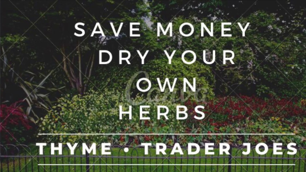 How to CORRECTLY dry your own HERBS at home! NO equipment needed. Easily dry your own herbs at home!
