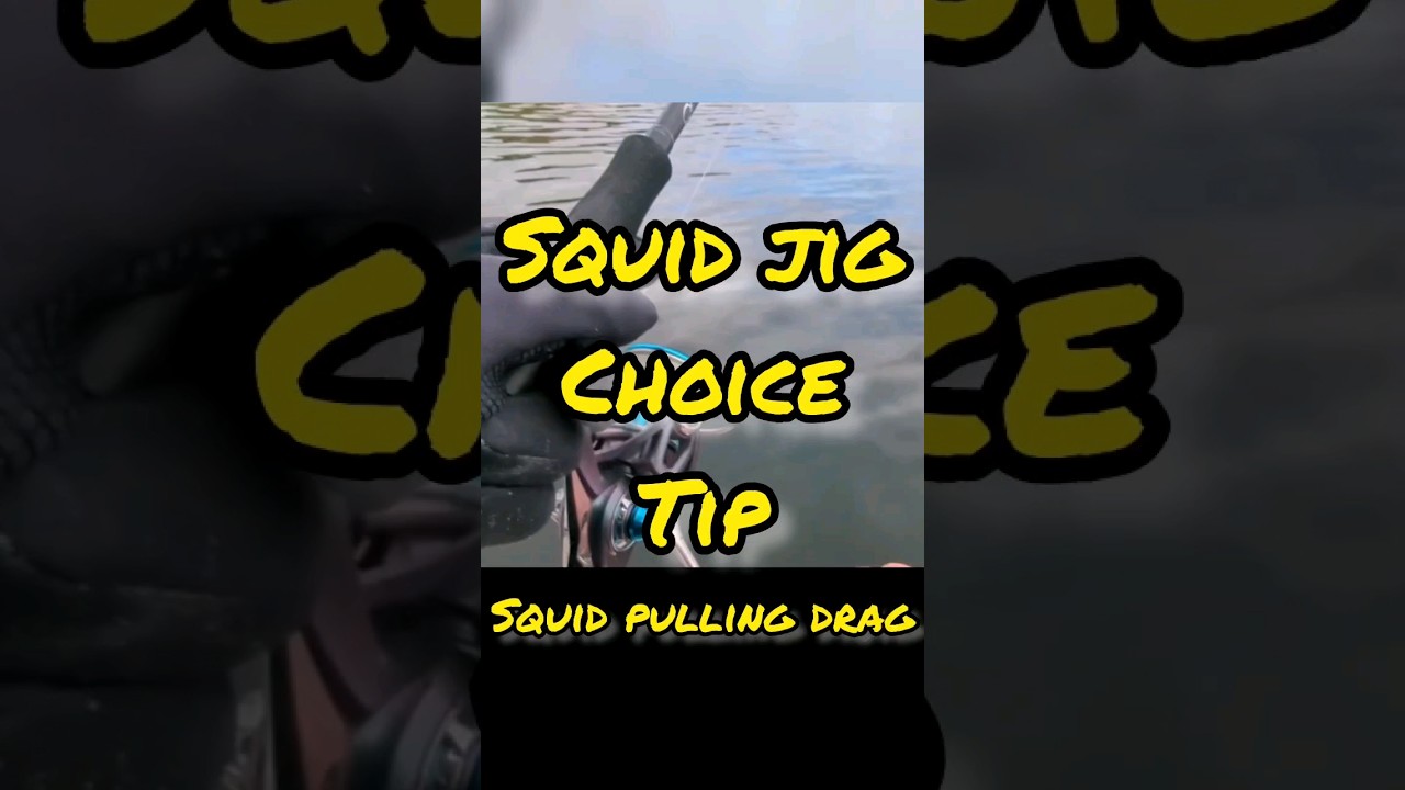 This Egi/Squid Jig never fails!