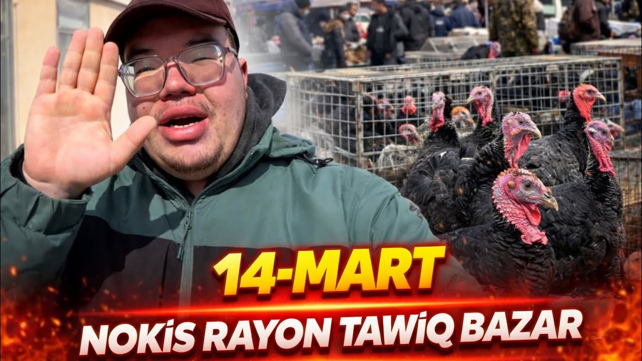 14-МАРТ НОКИС РАЙОН ТАУЫК БАЗАРЫ БАХАЛАРЫ ТУСТИМА КОРЕМИЗ 