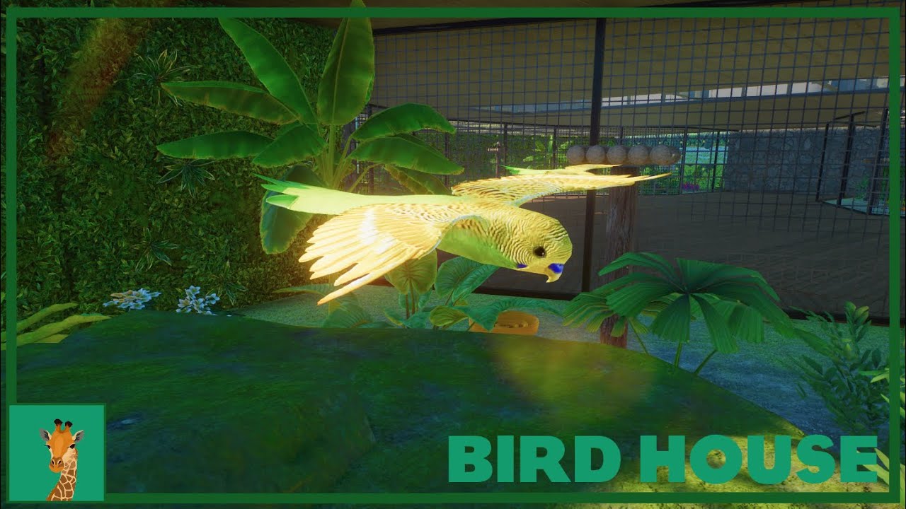 Tropical Bird House! 🦜 | Planet Zoo | Panthera Zoo S1 E52