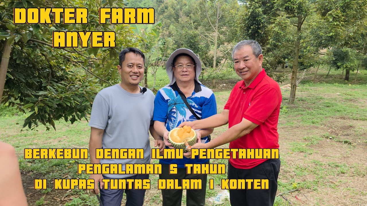 SHARING ILMU DOKTER DURIAN FARM PENGALAMAN 5 TAHUN DI BAHAS DALAM 1 JAM