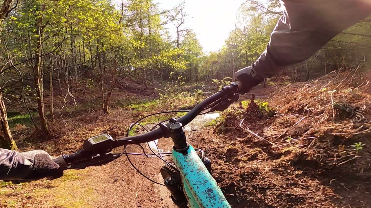 Hanchurch Woods - Every Trail (nearly)