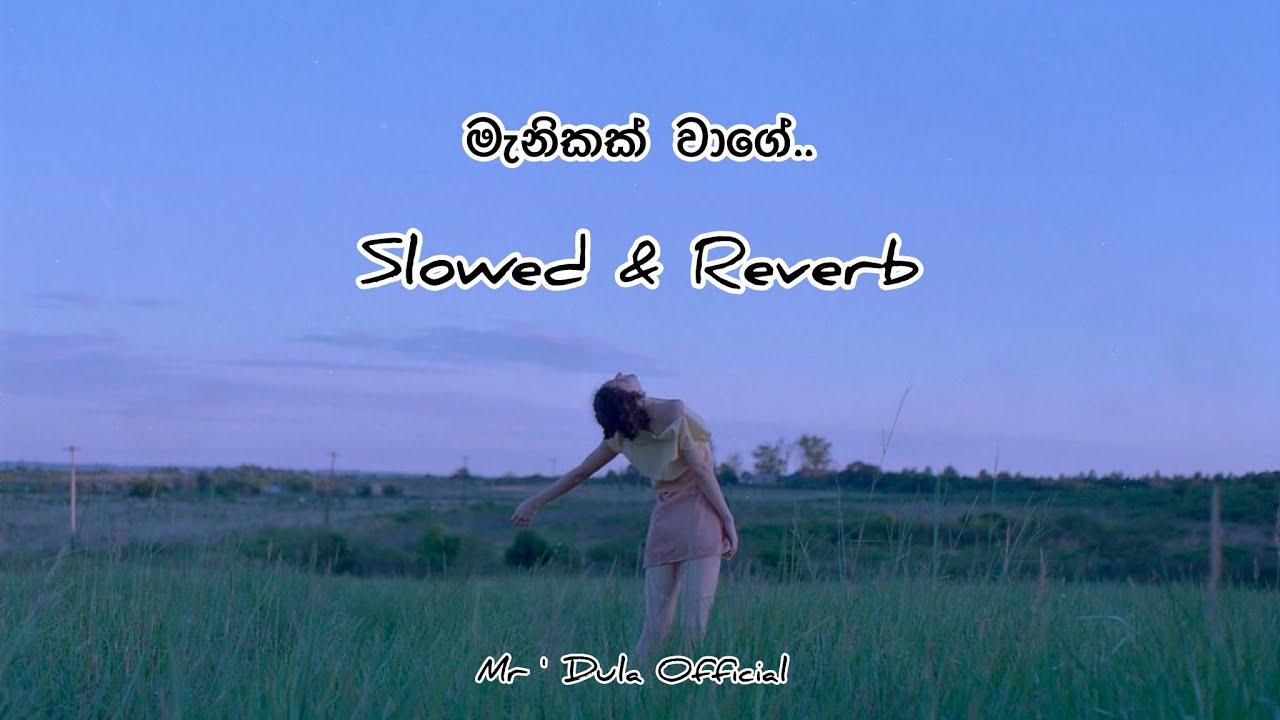 Manikak Wage ( Slowed & Reverb ) Full Song [ Heart Touching
