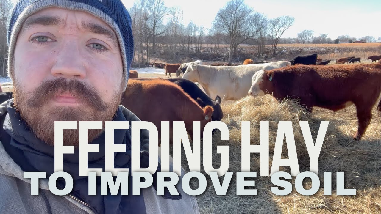 Feeding Hay to Improve Row Crop Ground - January 21, 2024