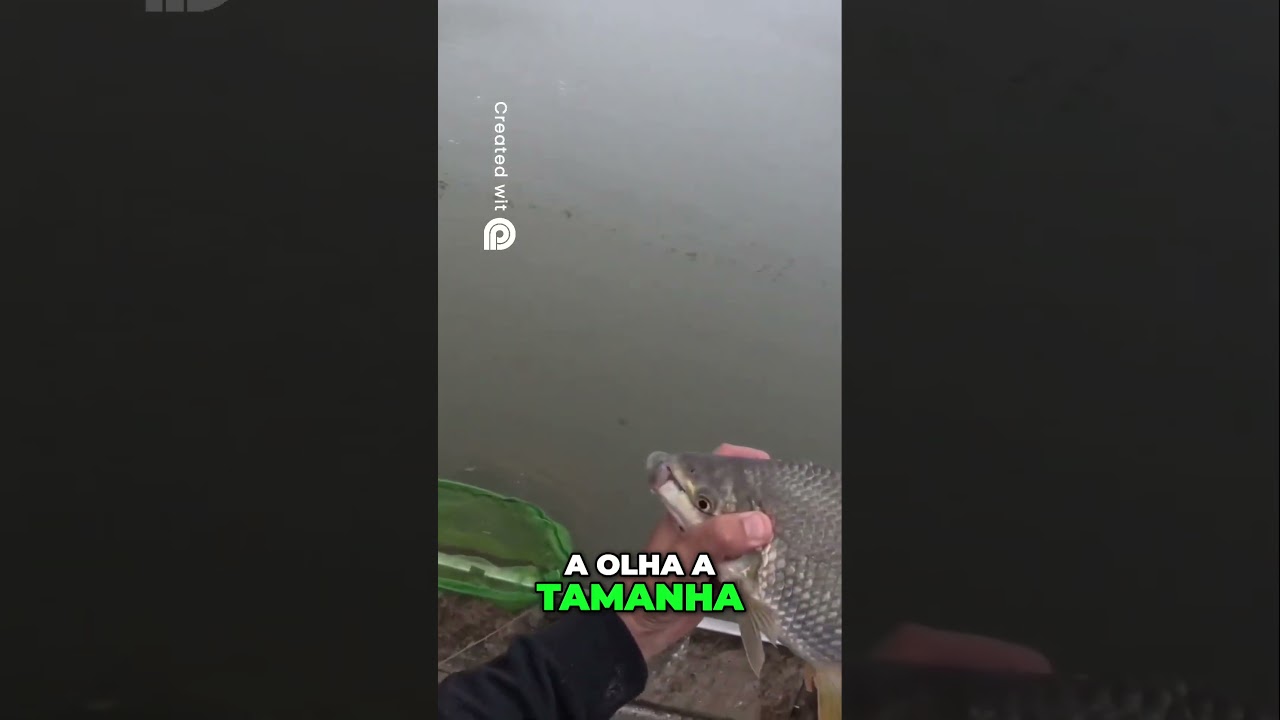 😱 Olha o Tamanho! Incrível Descoberta 40! 🐟 | Pescador Faixa Preta