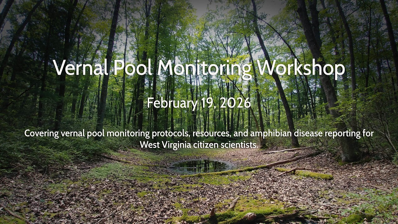 Virtual Vernal Pool Workshop 2026