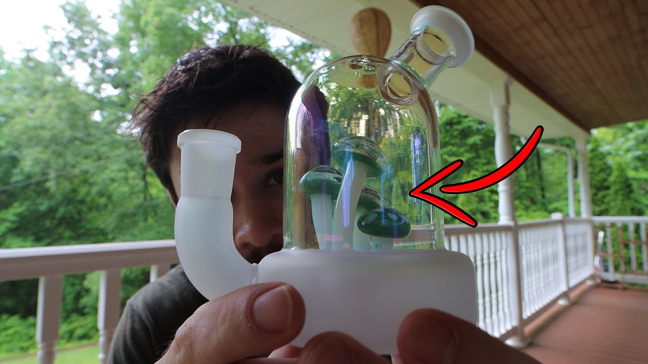 This Bong Has MUSHROOMS Inside of it!