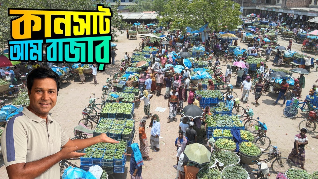 দেশের সবচেয়ে বড় আমের বাজার কানসাট || Kansat Mango Market || Chapai Nawabganj || Kansat
