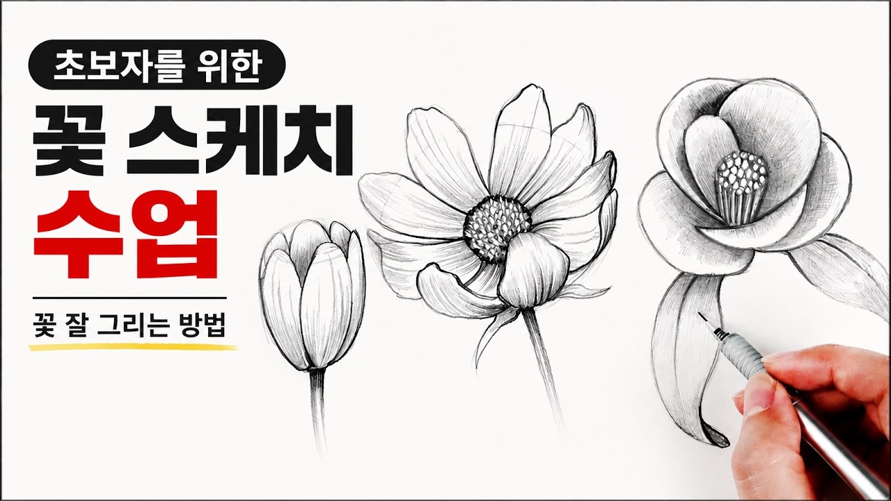 초보자를 위한 꽃 스케치 수업 / 꽃 잘 그리는 방법, 식물스케치 Draw flowers with a pencil
