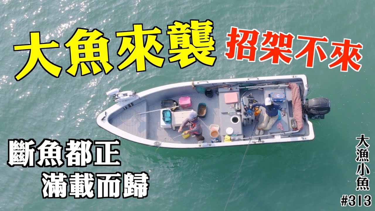 大魚來襲 招架不來 斷魚都正 滿載而歸┃#大漁小魚#313 ┃中文字幕