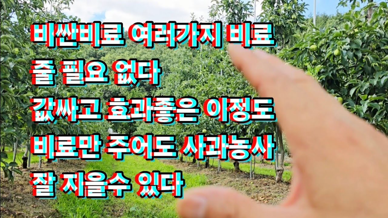 비싼비료 여러가지 비료 줄 필요 없다 값싸고 효과좋은 이것만 주어도 된다