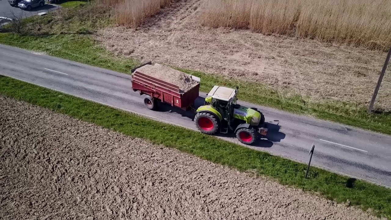 Le Ch'ti Miscanthus   Paillage Eco'Logique