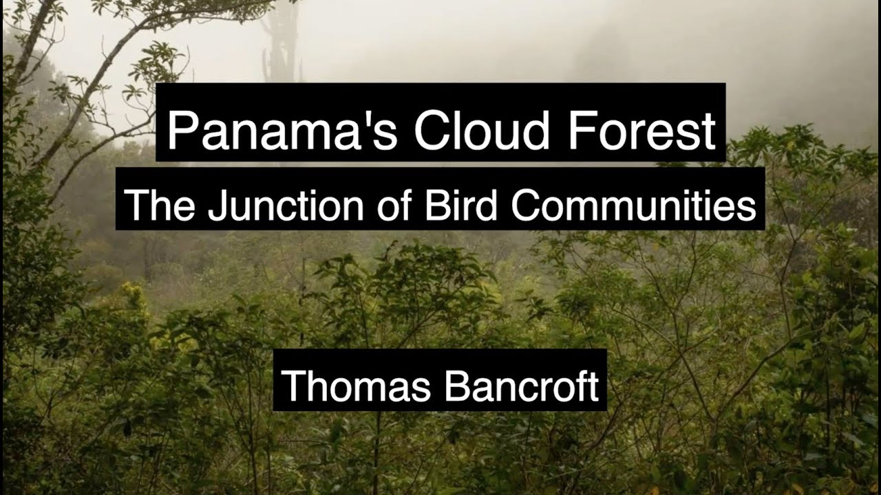 Thomas Bancroft: 