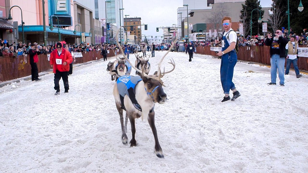 Fur Rendezvous 9th annual running of the reindeer