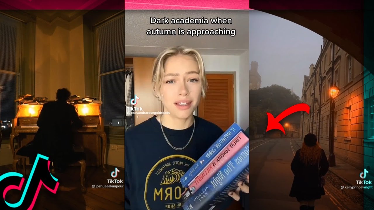 dark academia vibes | best TikTok meme compilation | aesthetic tiktoks