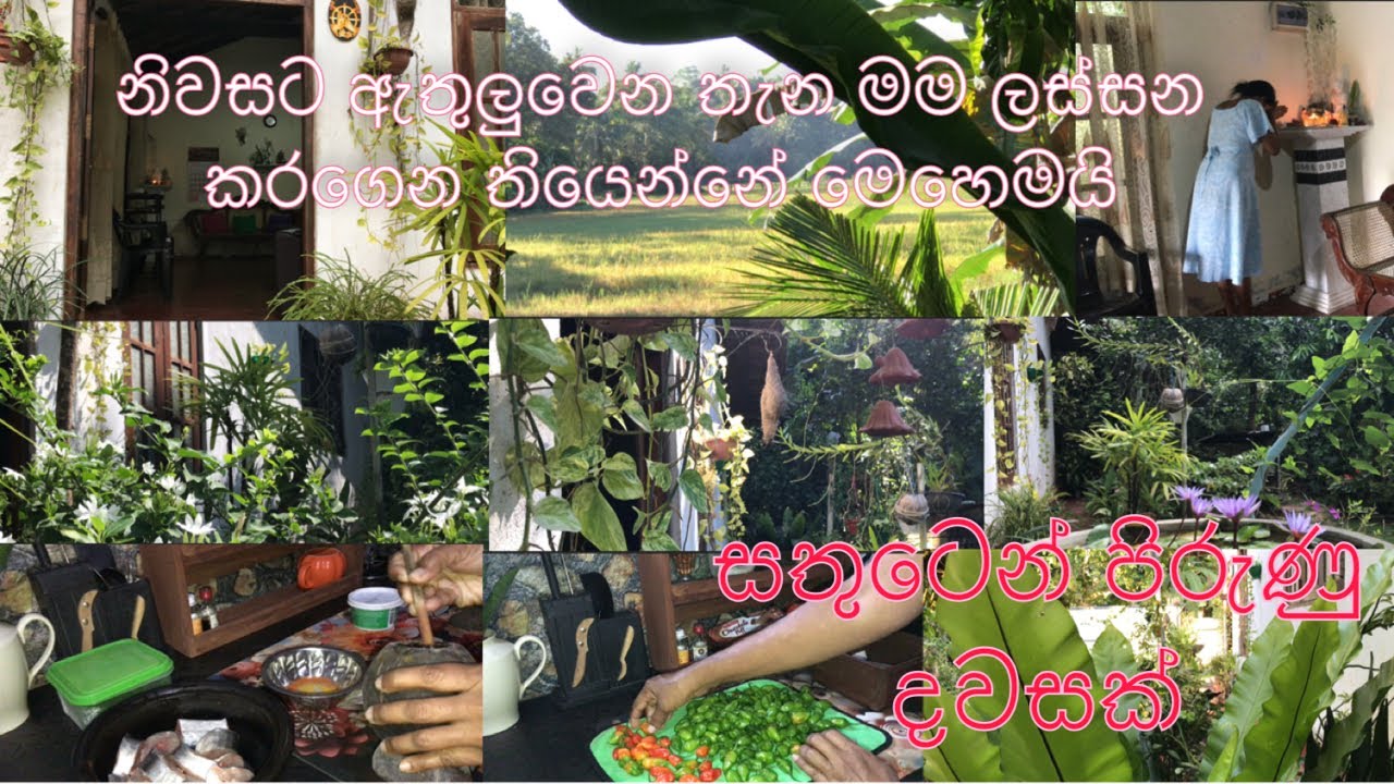 ☘️මගේ ගෙදරට පිරුපුන් පෙනුමක්🏡 ගේන විදියට මගේ පුංචි වැරැන්ඩාව  ලස්සන කරගගෙන තියන විදිය💁🏻‍♀️🍃
